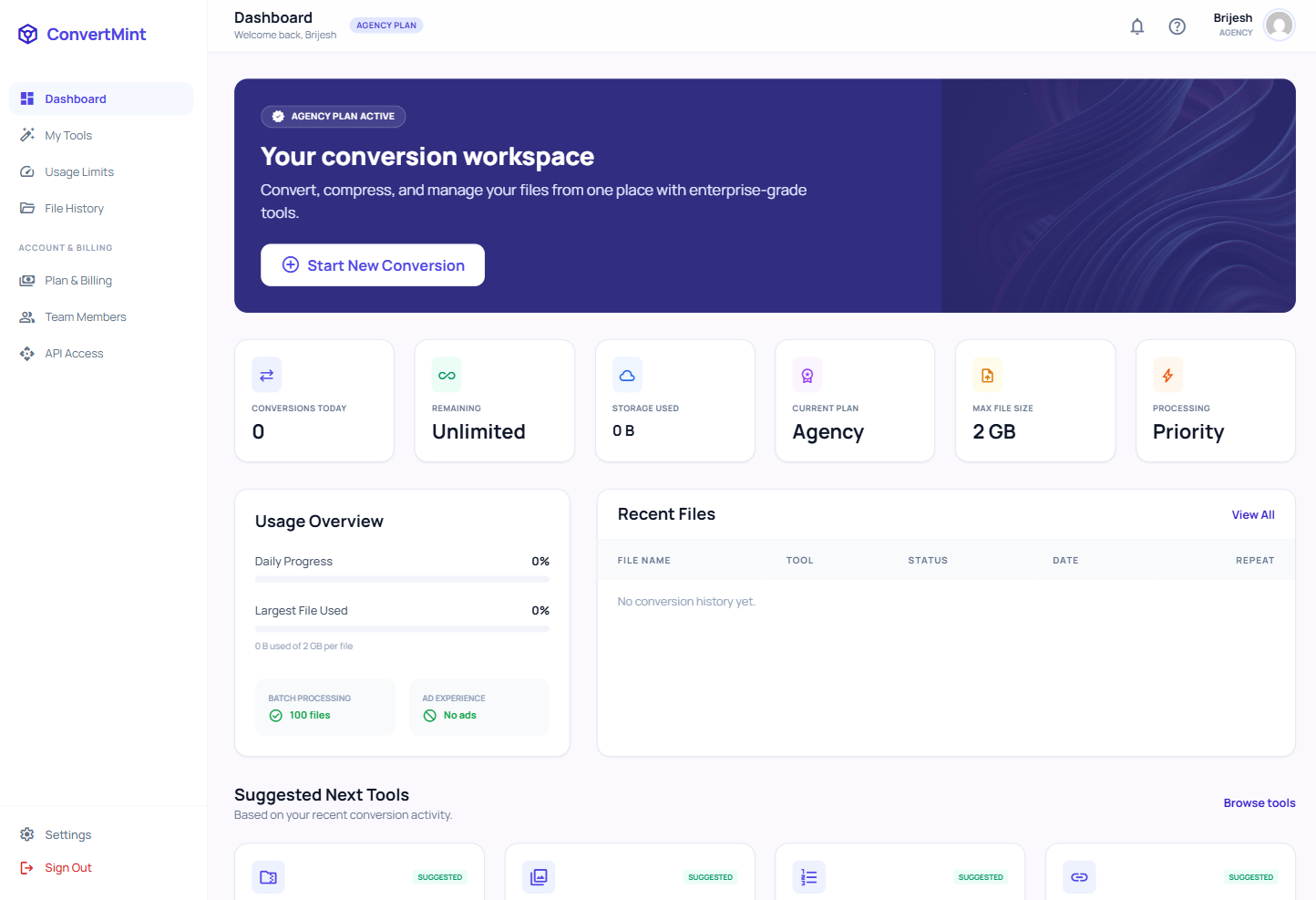 ConvertMint dashboard workspace showing conversion tools, usage overview, recent files, and account plan controls